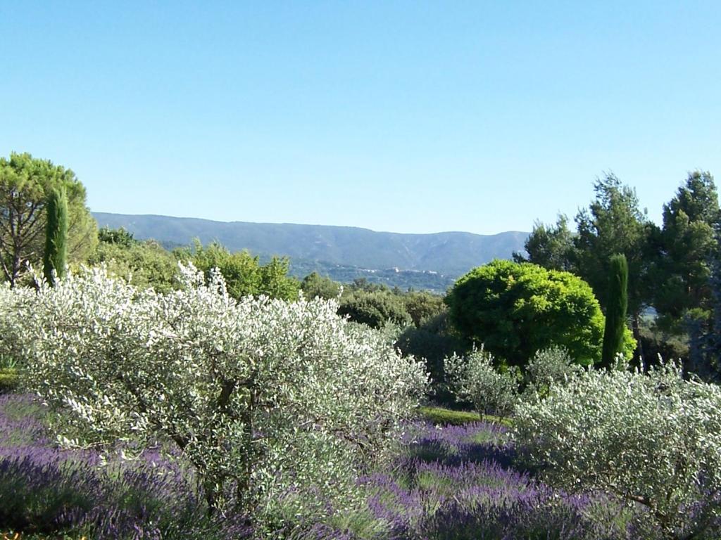 Lou Granos Bed & Breakfast Gordes Ruang foto
